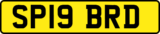 SP19BRD
