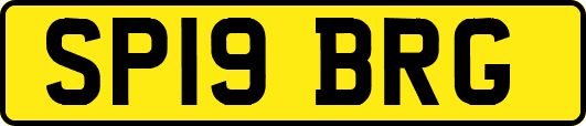 SP19BRG