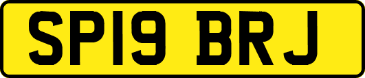 SP19BRJ