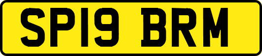 SP19BRM