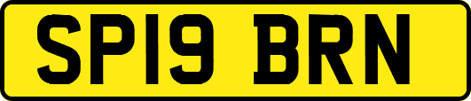 SP19BRN