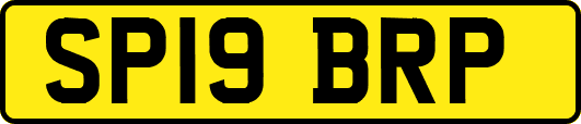 SP19BRP