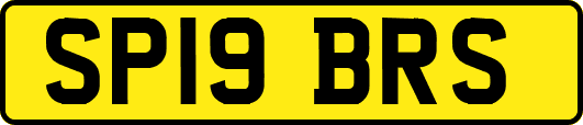 SP19BRS