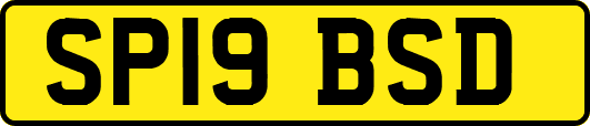 SP19BSD
