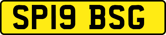 SP19BSG