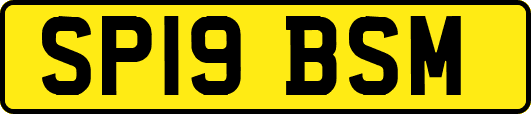 SP19BSM