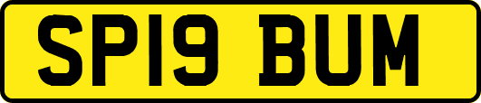 SP19BUM