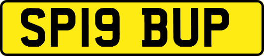 SP19BUP
