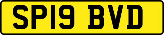 SP19BVD