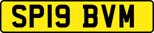 SP19BVM