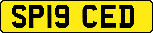 SP19CED