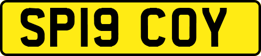 SP19COY