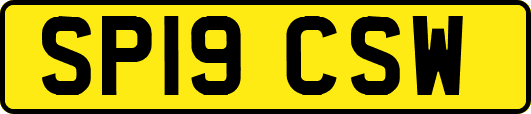 SP19CSW