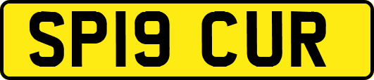 SP19CUR