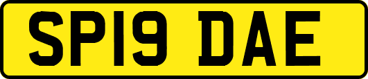 SP19DAE