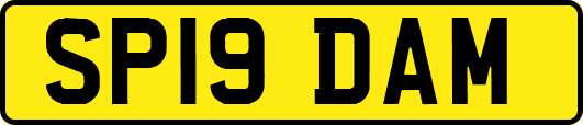 SP19DAM