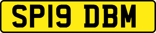 SP19DBM