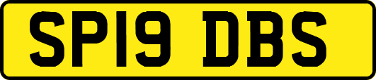 SP19DBS