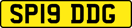SP19DDG