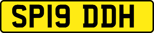 SP19DDH