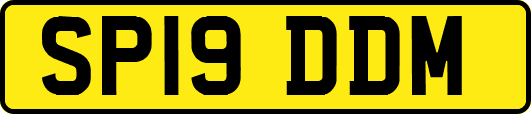 SP19DDM