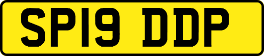 SP19DDP