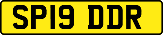 SP19DDR