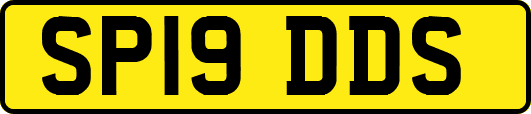 SP19DDS