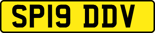 SP19DDV