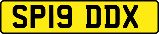 SP19DDX