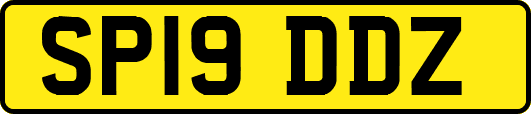 SP19DDZ