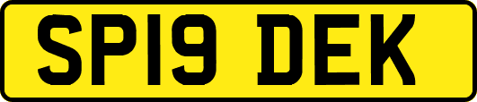 SP19DEK