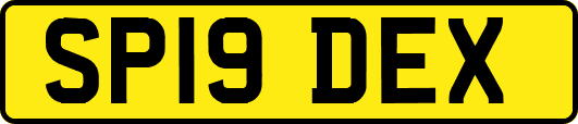 SP19DEX