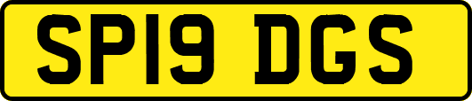 SP19DGS