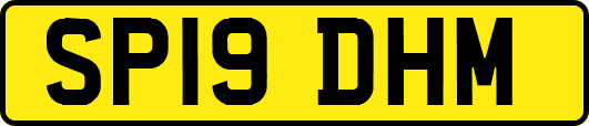 SP19DHM