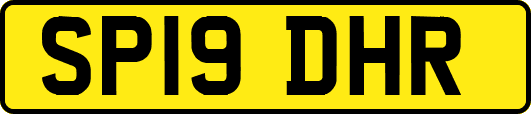 SP19DHR