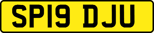 SP19DJU