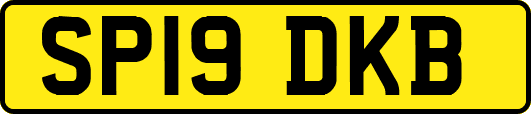 SP19DKB
