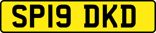 SP19DKD
