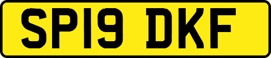 SP19DKF