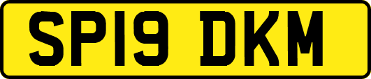 SP19DKM