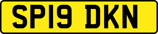 SP19DKN