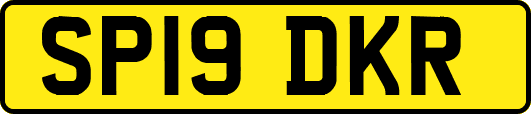 SP19DKR