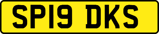 SP19DKS