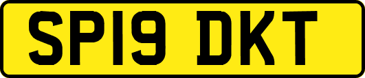 SP19DKT