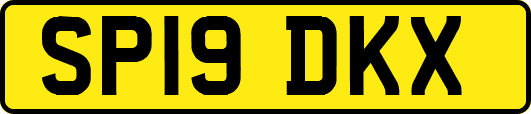 SP19DKX