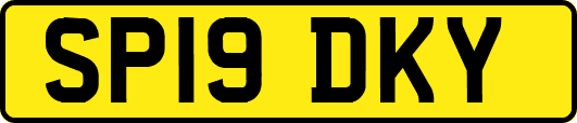 SP19DKY