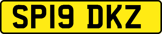 SP19DKZ