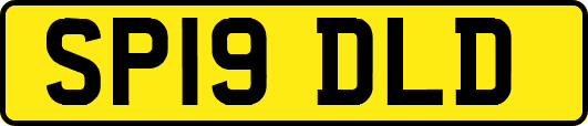 SP19DLD