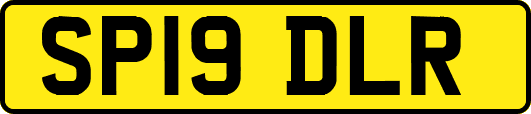 SP19DLR